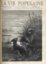 Un cacciatore di uccelli osserva in una palude con il suo cane. Illustrazione di F. Meaulle per "Hopefully!" di Alphonse Daudet (1840-1897). Incisione del 1890 in "La vie populaire". Collezione privata