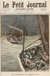 Pescatori di Terranova, da 