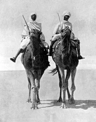 Due arabi a cavallo di cammelli nel deserto del Sahara, Africa, 1936