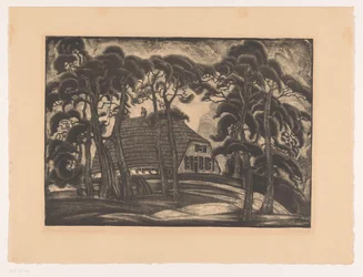 Casa tra gli alberi