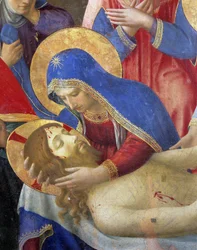Immagine sconosciuta