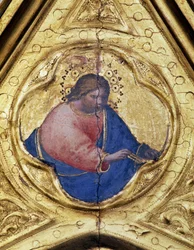 Immagine sconosciuta