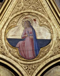 Immagine sconosciuta