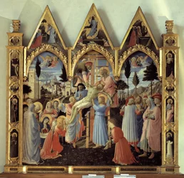 Immagine sconosciuta