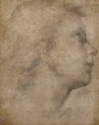 Testa di un angelo di profilo che guarda in alto a destra
