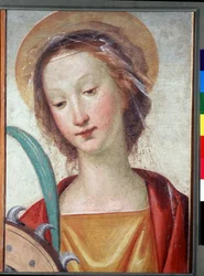 Immagine sconosciuta
