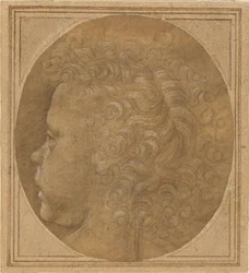 Testa di un bambino (recto)