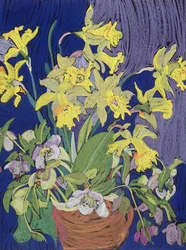 Narcisi con Brocca