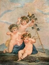 Cupidi