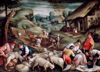 Estate. Tosatura delle pecore, c1570-c1580
