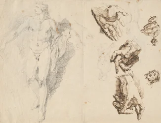 Apollo e studi di mano dell