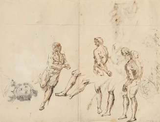 Testa di donna e studi di nudo maschile (verso)