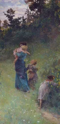 Fiori selvatici