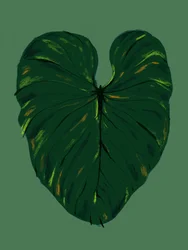Foglia tropicale verde scuro