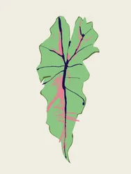 Foglia verde con venature rosa