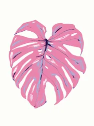 Monstera rosa tropicale
