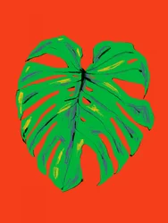 Foglia di Monstera dai colori vivaci