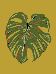 Foglia di Monstera dai colori vivaci