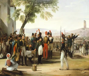 Napoleone dopo la battaglia di Wagram