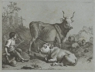 Giovane pastore con due buoi e tre pecore