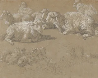 Pecora sdraiata in un paesaggio, 1759-82