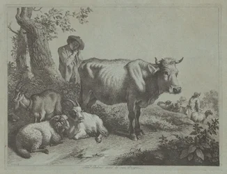 Mucca in piedi e un pastore con gregge