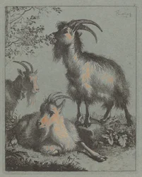 Tre capre, 1758