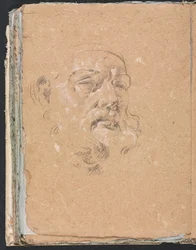 Verona Sketchbook: Testa maschile pagina 76