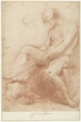 Studio di un modello maschile nudo