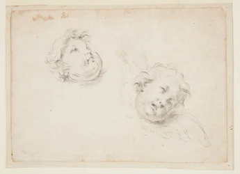 Studio per due cherubini