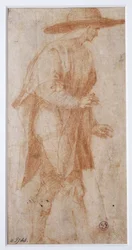 Immagine sconosciuta