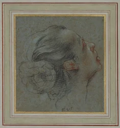 Testa di una ragazza di profilo