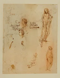 Tre profili; orecchie; due Apollo ...