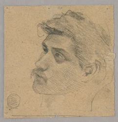 Testa di un uomo