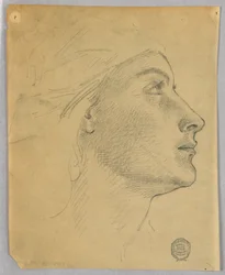 Testa di una donna