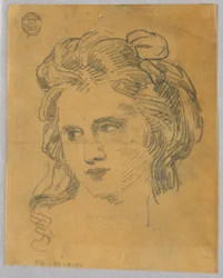 Schizzo della testa di una donna