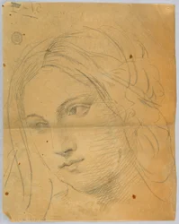 Schizzo della testa di una donna