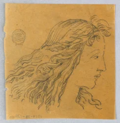 Schizzo della Testa di una Donna di Profilo