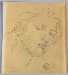 Schizzo del Viso di una Donna