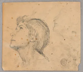 Schizzo della Testa di una Donna