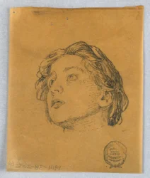 Schizzo della Testa di una Donna