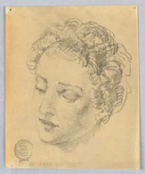 Schizzo della testa di una donna
