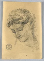 Schizzo della testa di una donna