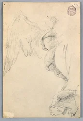 Schizzo con ali e drappeggi