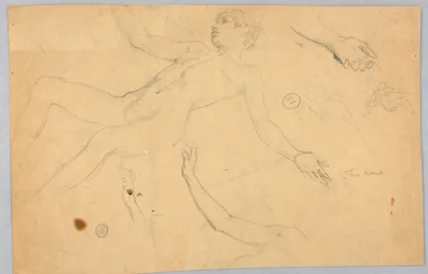 Schizzi di nudo femminile e mani