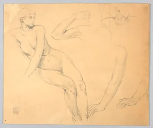 Schizzi di un nudo femminile e di braccia