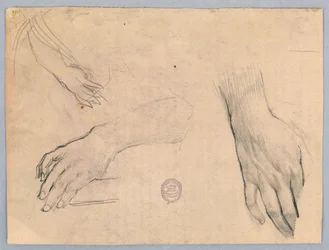 Studi di mani