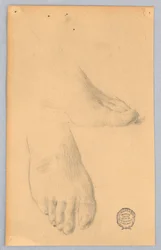 Studio di piedi