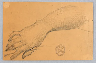 Studio di mano e polso