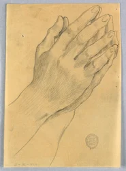 Studio delle mani